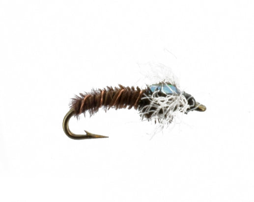 Chironomid, Flashback