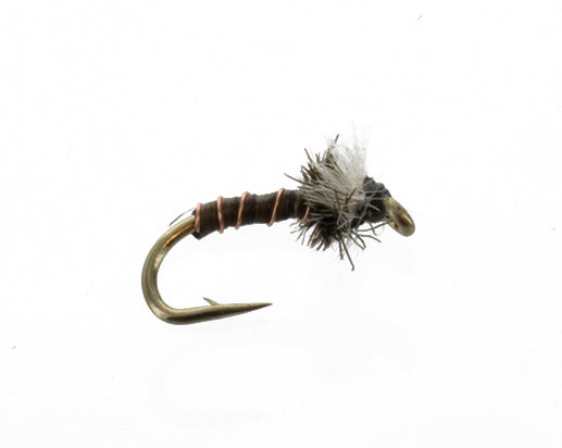 chironomid