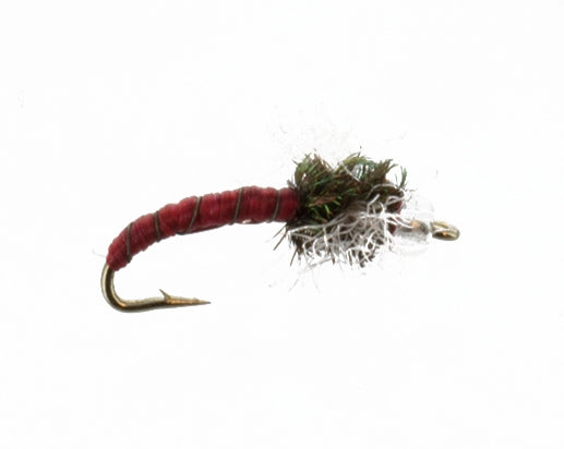 Chironomid, Holographic