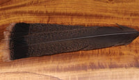 Cinnamon Tip Turkey Feather