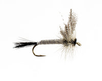 Coffin Fly Green Drake Spinner
