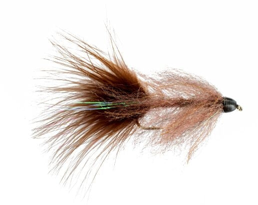 Conehead Brush Bugger, Brown