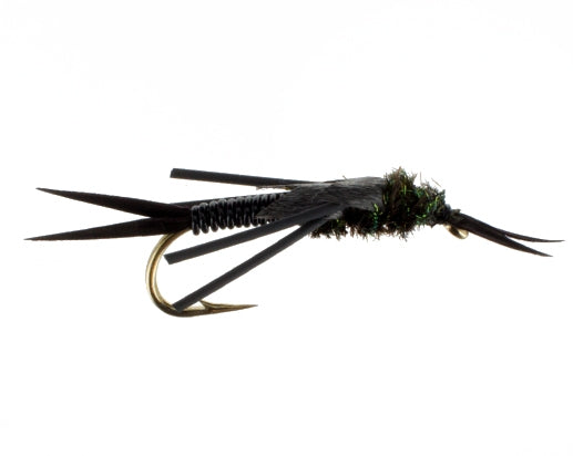 Copper Stonefly #2 Black, Fly Fishing Flies, Nymphs. Discount flies at theflystop.com. High Resolution.