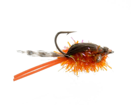Corbina Crack, Orange