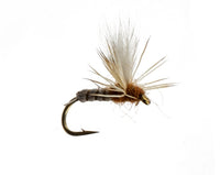 Cranefly, Deschutes
