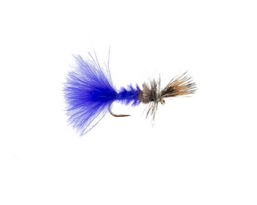 Cripple, Purple Haze