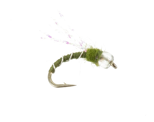 Crystal Midge, Olive