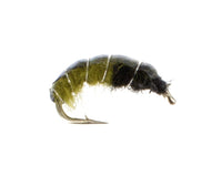 Czech Nymph, Olive