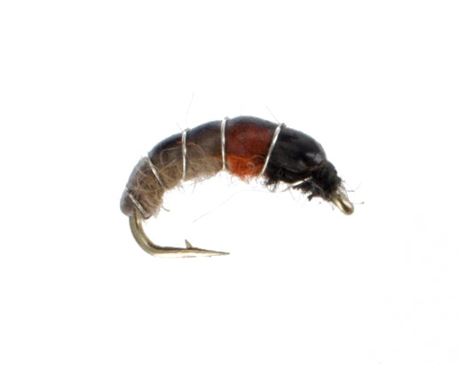 Czech Nymph, Tan and Orange