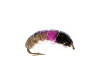 Czech Nymph, Tan and Pink