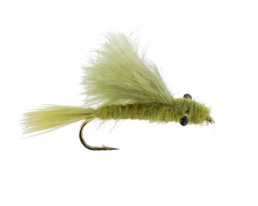 Damsel Nymph