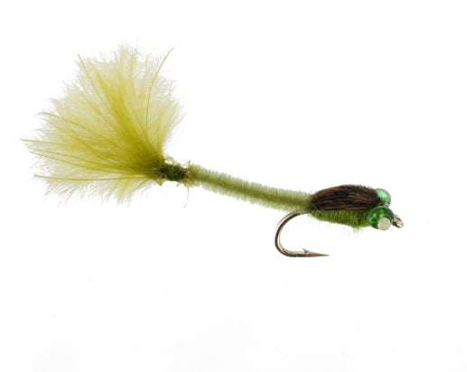 Damsel Nymph, Olive