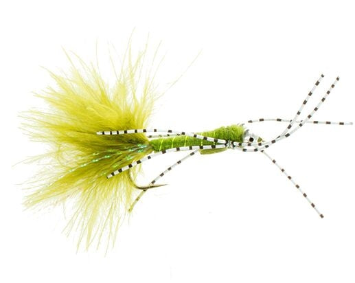 Damsel Rubber, Olive Carp