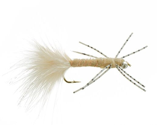 Damsel Rubber, Tan Carp