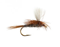 Dark Cahill, Parachute