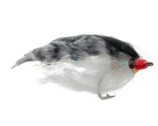 Deep Water Baitfish, Black and White