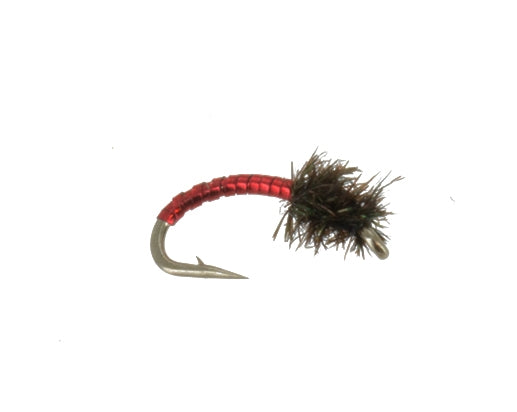 Disco Midge, Red