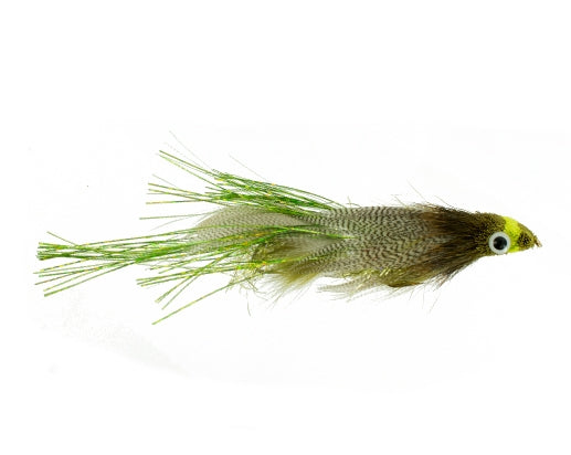 disorderly-conduct-olive-and-white