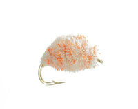 Dog Biscuit, White Carp