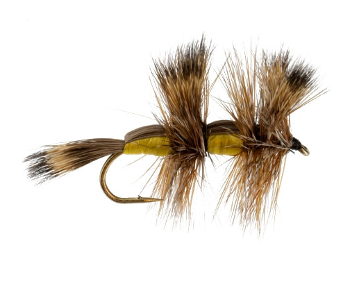 Double Humpy, Yellow