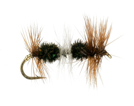 Double Renegade fly fishing fly