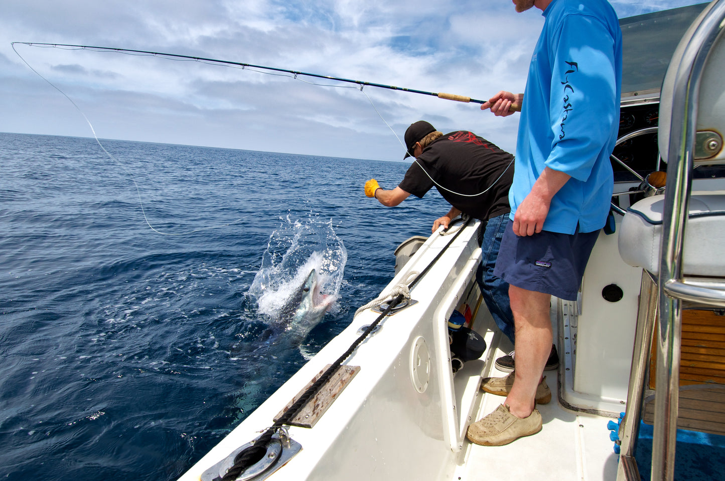 Shark Fishing Trip