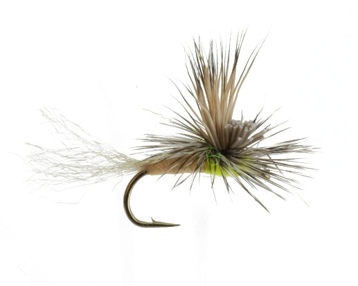 EC Caddis Tan, Fly Fishing Flies, Dry Flies. Discount flies at theflystop.com. High Resolution.