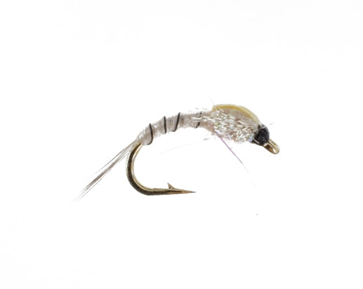 Electric Mayfly