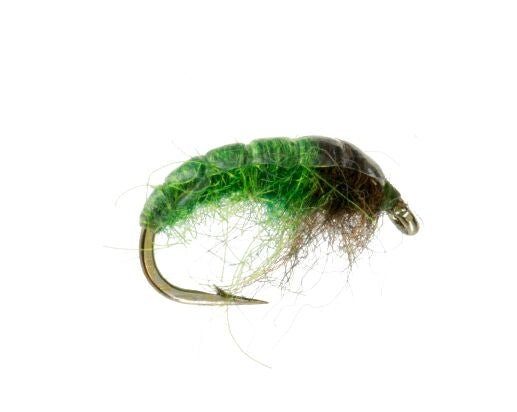 Electric Caddis