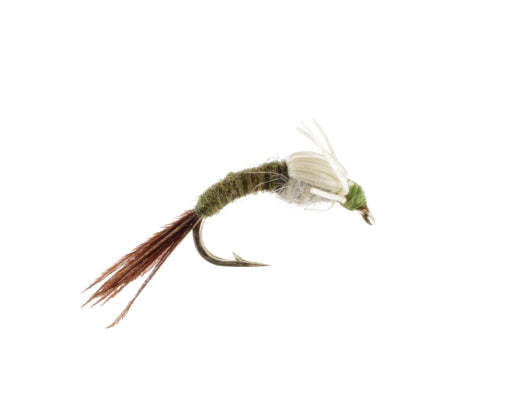 Emerger Wet BWO, Fly Fishing Flies, Nymphs. Discount flies at theflystop.com. High Resolution.