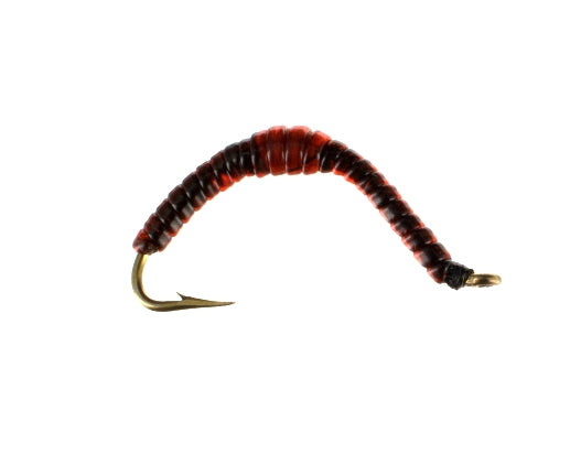 Erie Earthworm