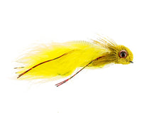 Eyed, Fathead Yellow
