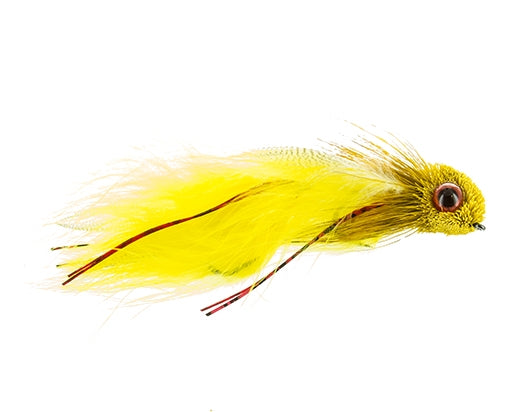Eyed, Fathead Yellow