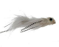 Eyed Flathead, Albino Tandem