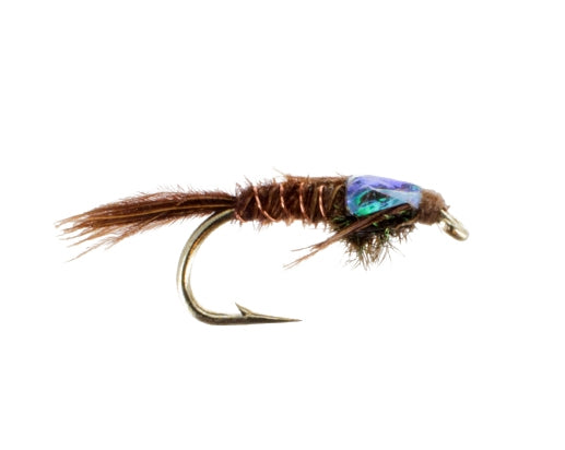 Flashback Pheasant Tail #2, Fly Fishing Flies, Nymphs. Discount flies at theflystop.com. High Resolution.