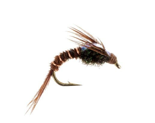 Flashback Pheasant Tail Carp