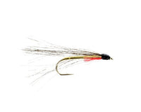 Flathead Minnow