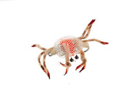 Flex Crab, Tan