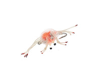 Flex Crab, White