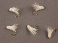 Spruce Moth