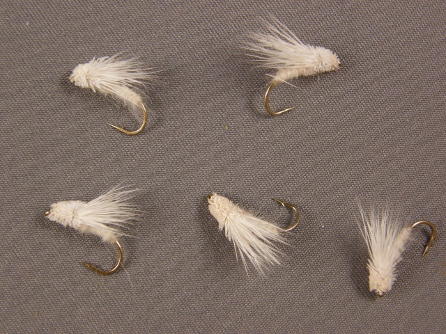 Spruce Moth