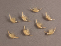 Beadhead Flashback Scud, Tan grouped
