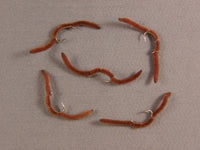 San Juan Worm, Brown grouped