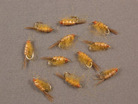 Scud, Bighorn grouped