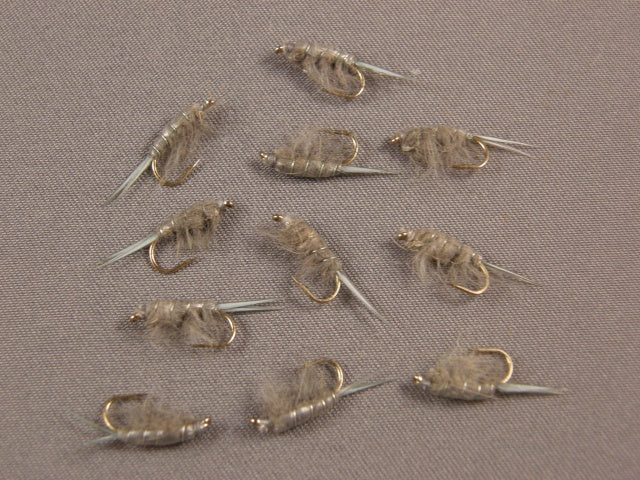 Sow Bug, Gray grouped