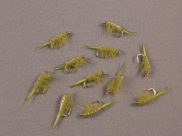 Sow Bug, Olive grouped
