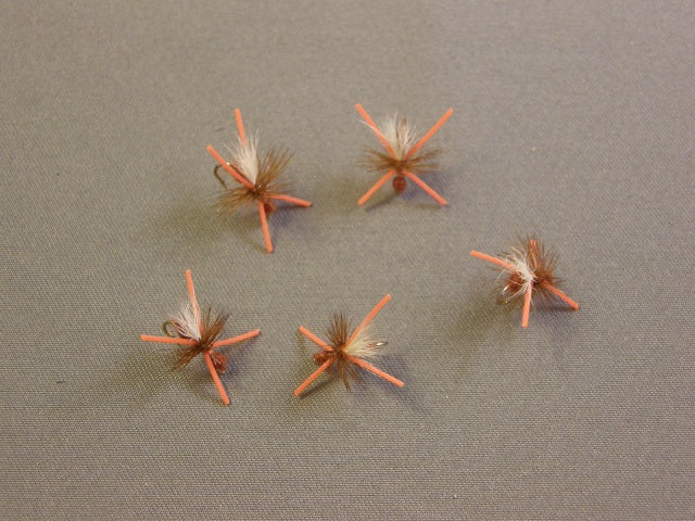 Power Ant