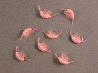 Scud, Flashback, Pink grouped