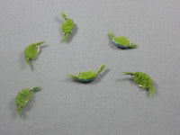 Scud, Flashback, Olive grouped