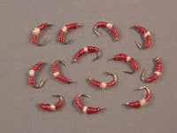 Worm, Sparkle grouped